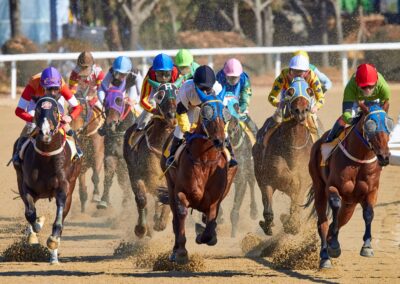 Responding to a More Competitive Industry Environment